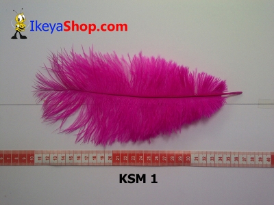 bulu kasuari medium KSM 1   feather  large2